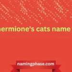 hermione's cats name
