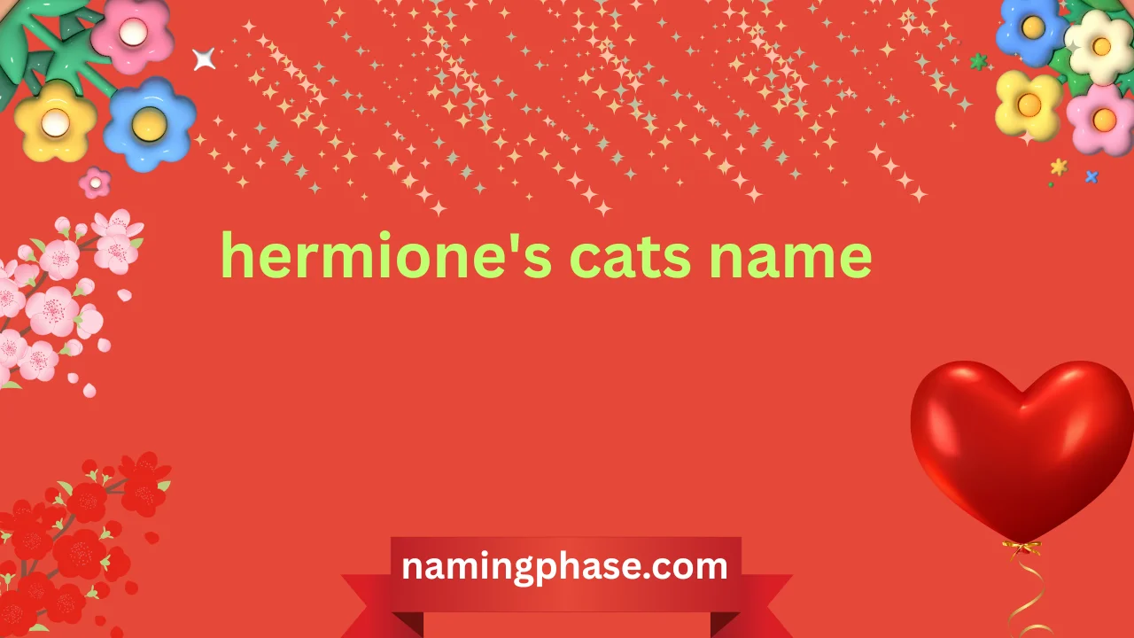 hermione's cats name