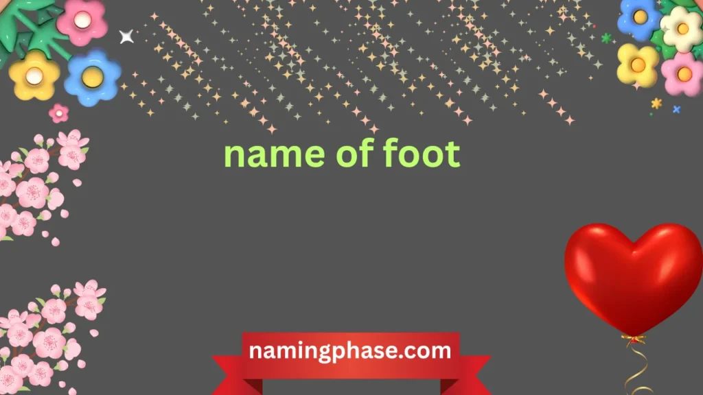 name of foot