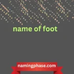 name of foot