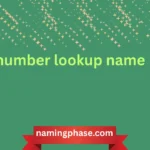 number lookup name