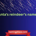 santa's reindeer's name