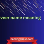 veer name meaning