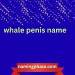 whale penis name
