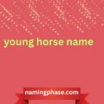 young horse name