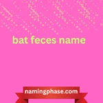 bat feces name