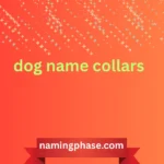 dog name collars