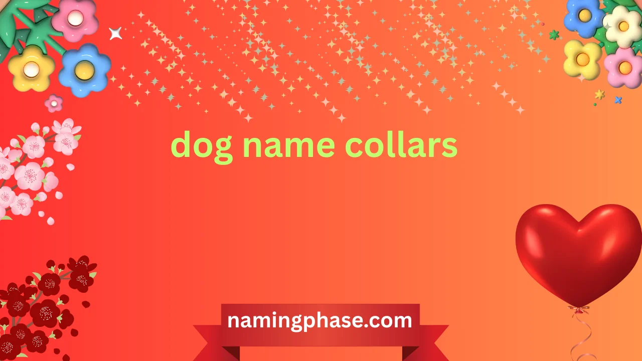 dog name collars