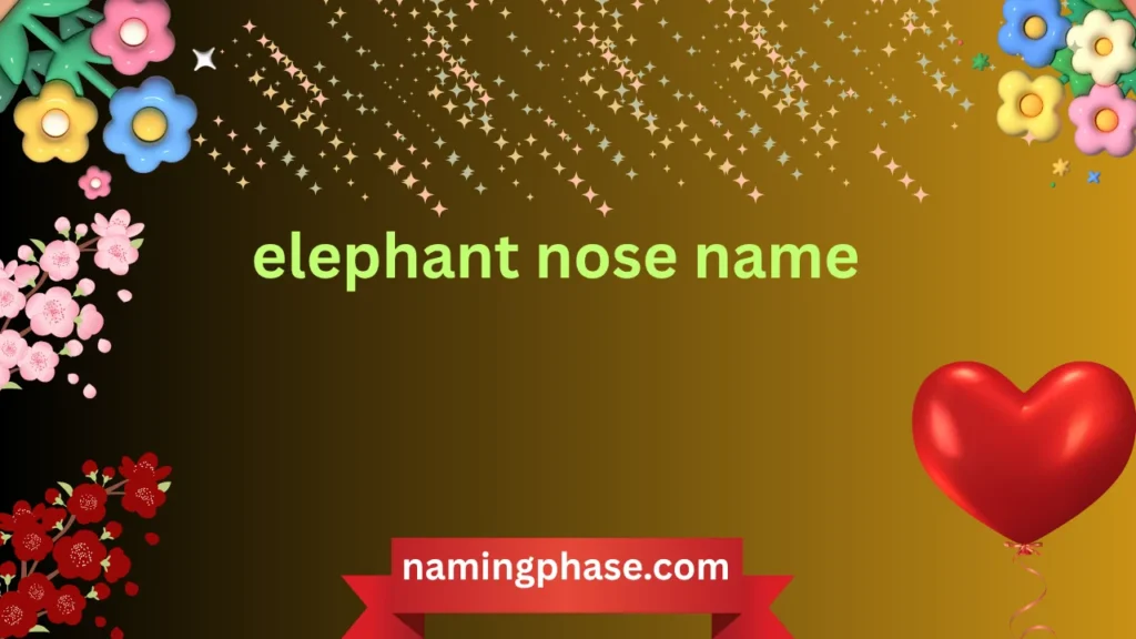 elephant nose name