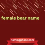 female bear name