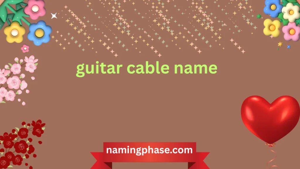 guitar cable name