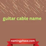 guitar cable name