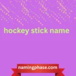 hockey stick name