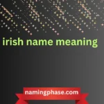 irish name meaning