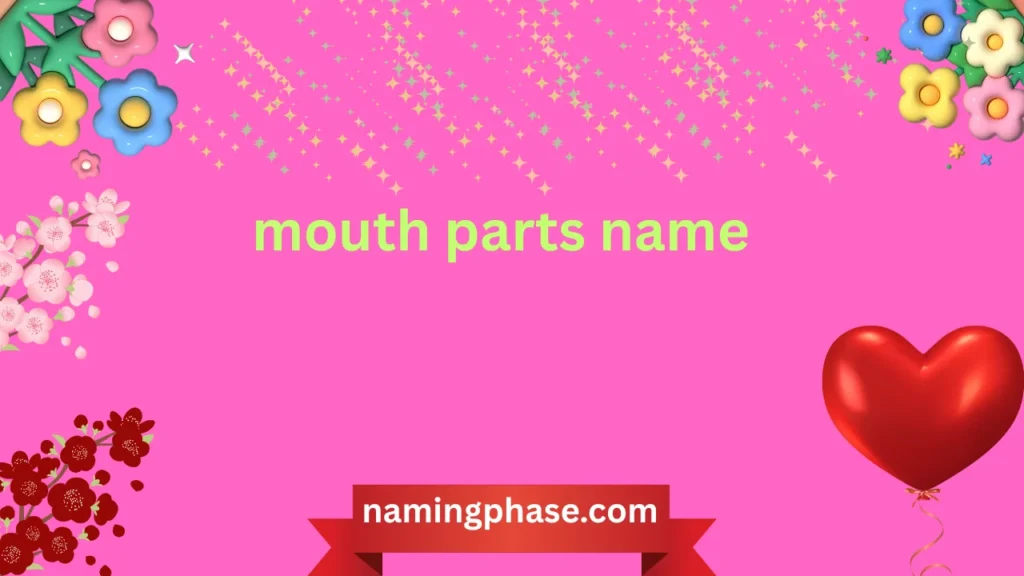 mouth parts name