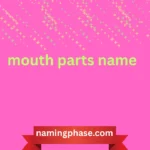 mouth parts name
