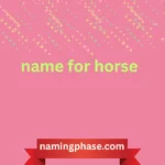 name for horse