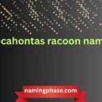 pocahontas racoon name