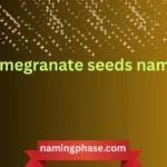 pomegranate seeds name
