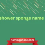 shower sponge name