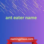 ant eater name