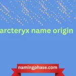 arcteryx name origin