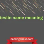 devlin name meaning