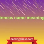 finneas name meaning
