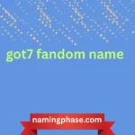 got7 fandom name