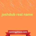 joshdub real name