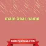 male bear name