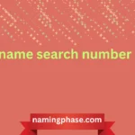 name search number
