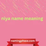 niya name meaning