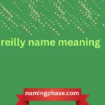 reilly name meaning