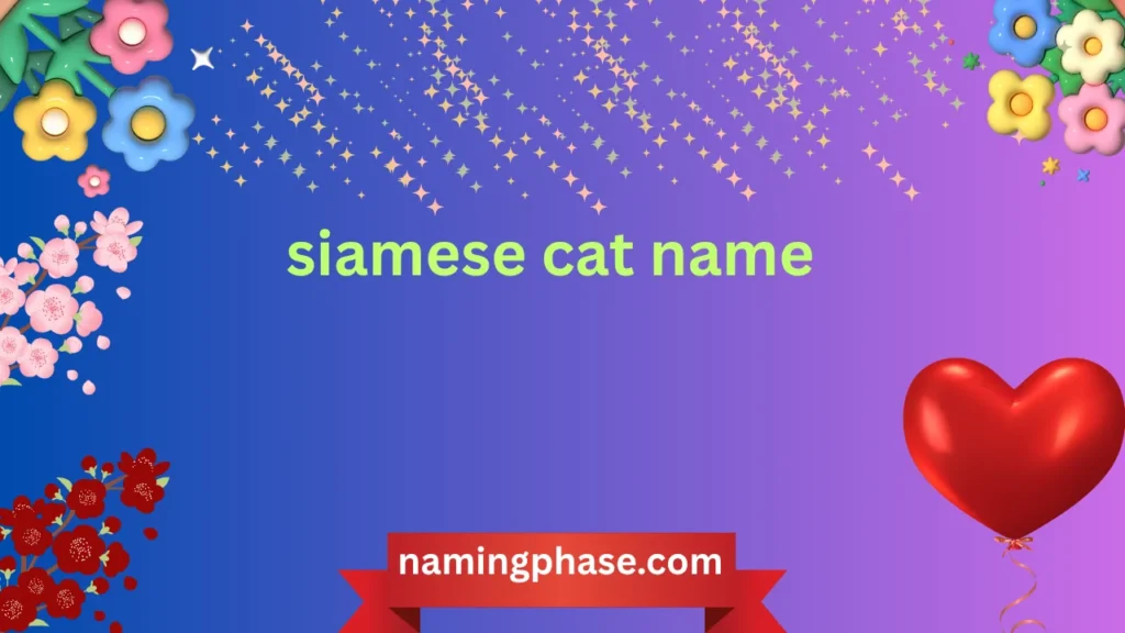 siamese cat name