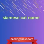 siamese cat name