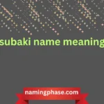 tsubaki name meaning