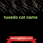 tuxedo cat name