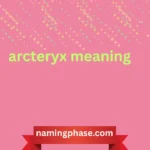 arcteryx meaning