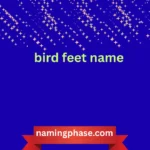 bird feet name