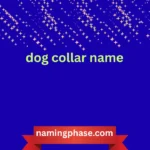 dog collar name