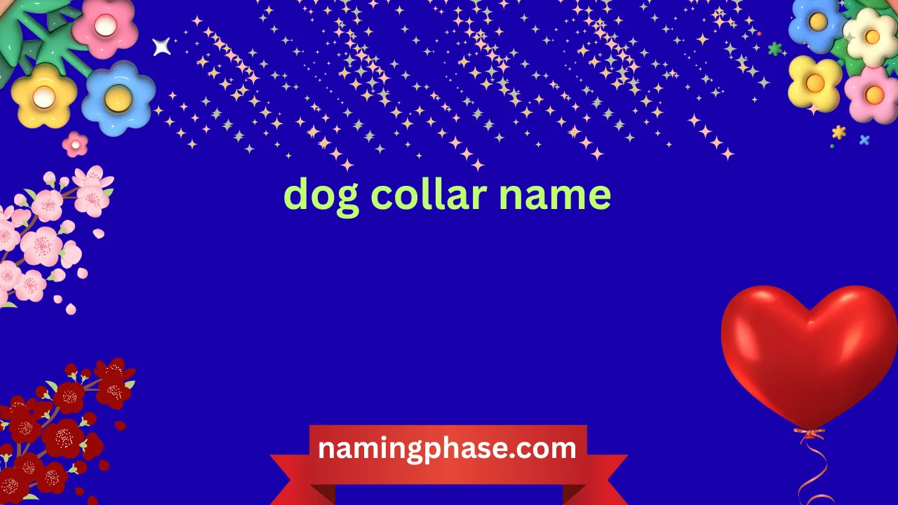dog collar name