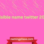invisible name twitter 2026