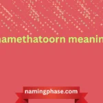 namethatoorn meaning