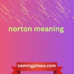 norton meaning