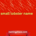 small lobster name