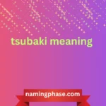 tsubaki meaning