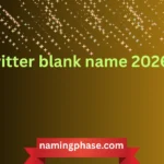 twitter blank name 2026