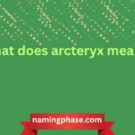 what does arcteryx mean
