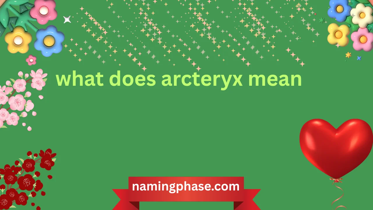 what does arcteryx mean